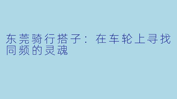 东莞骑行搭子:在车轮上寻找同频的灵魂