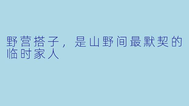 野营搭子,是山野间最默契的临时家人