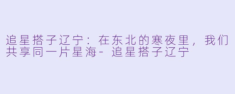 追星搭子辽宁:在东北的寒夜里,我们共享同一片星海-追星搭子辽宁
