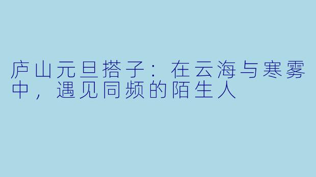庐山元旦搭子:在云海与寒雾中,遇见同频的陌生人