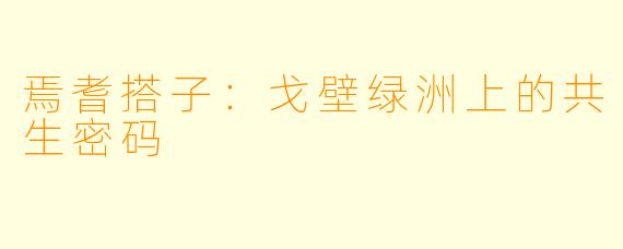 焉耆搭子:戈壁绿洲上的共生密码
