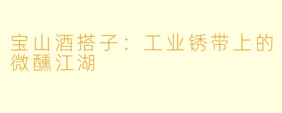 宝山酒搭子:工业锈带上的微醺江湖