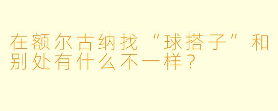 在额尔古纳找“球搭子”和别处有什么不一样?