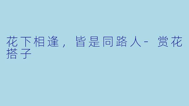 花下相逢,皆是同路人-赏花搭子