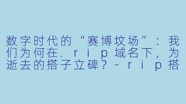 数字时代的“赛博坟场”:我们为何在.rip域名下,为逝去的搭子立碑?-rip搭子