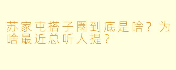 苏家屯搭子圈到底是啥？为啥最近总听人提？