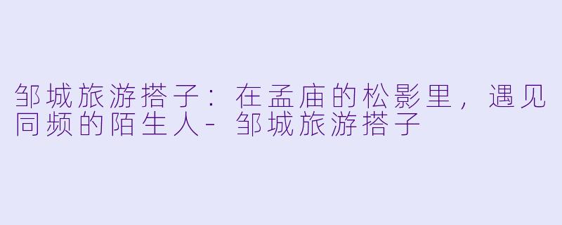 邹城旅游搭子:在孟庙的松影里,遇见同频的陌生人-邹城旅游搭子