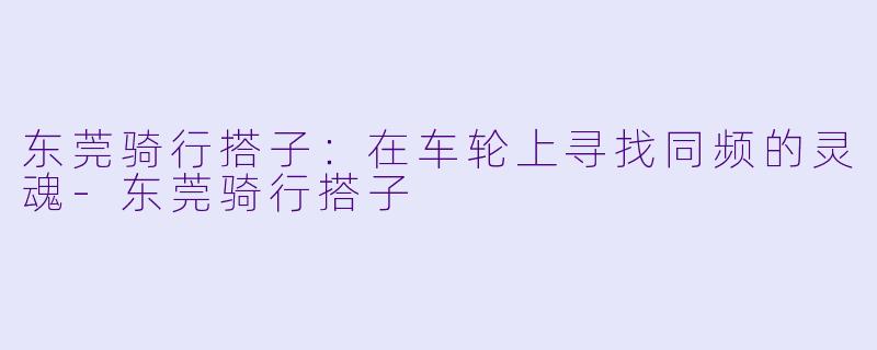 东莞骑行搭子:在车轮上寻找同频的灵魂-东莞骑行搭子