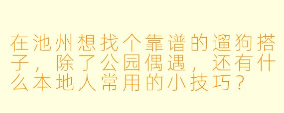 在池州想找个靠谱的遛狗搭子，除了公园偶遇，还有什么本地人常用的小技巧？