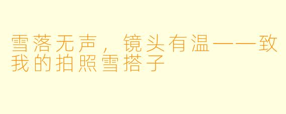 雪落无声,镜头有温——致我的拍照雪搭子