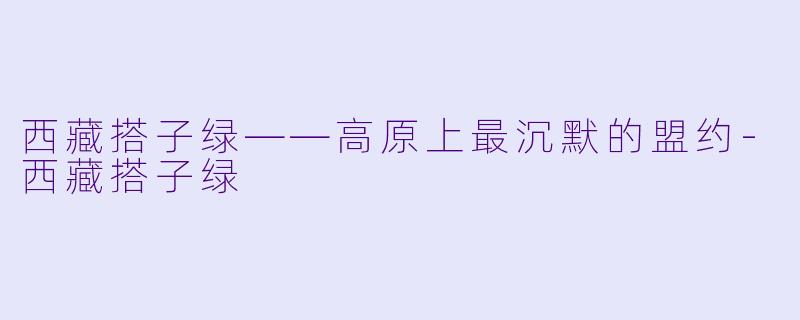 西藏搭子绿——高原上最沉默的盟约-西藏搭子绿