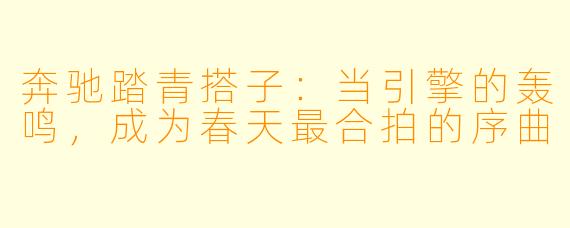 奔驰踏青搭子:当引擎的轰鸣,成为春天最合拍的序曲