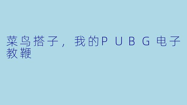 菜鸟搭子,我的PUBG电子教鞭