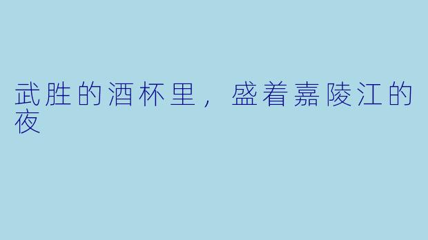 武胜的酒杯里，盛着嘉陵江的夜