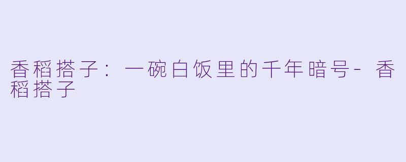 香稻搭子:一碗白饭里的千年暗号-香稻搭子