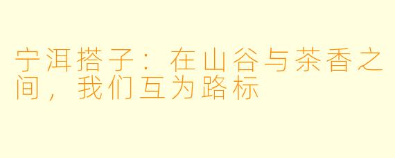 宁洱搭子:在山谷与茶香之间,我们互为路标