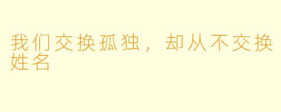 我们交换孤独,却从不交换姓名