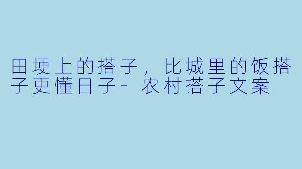 田埂上的搭子,比城里的饭搭子更懂日子-农村搭子文案