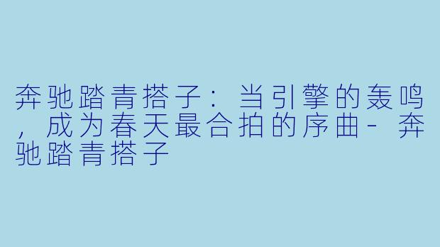 奔驰踏青搭子:当引擎的轰鸣,成为春天最合拍的序曲-奔驰踏青搭子