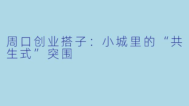 周口创业搭子:小城里的“共生式”突围