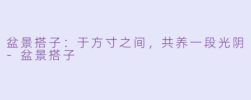 盆景搭子:于方寸之间,共养一段光阴-盆景搭子