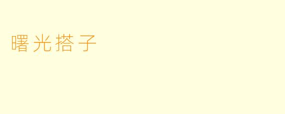 曙光搭子