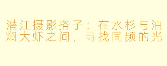 潜江摄影搭子：在水杉与油焖大虾之间，寻找同频的光
