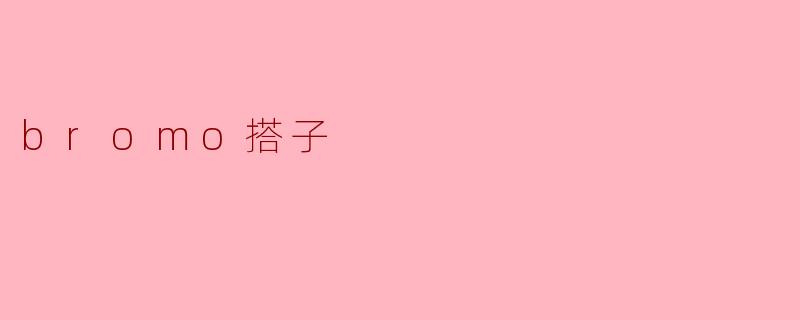 bromo搭子