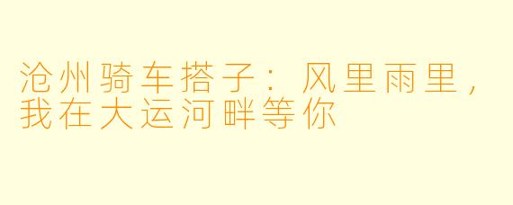 沧州骑车搭子：风里雨里，我在大运河畔等你