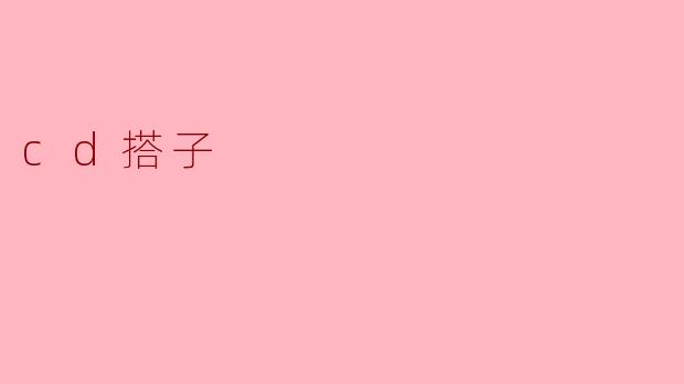 cd搭子
