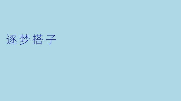 逐梦搭子