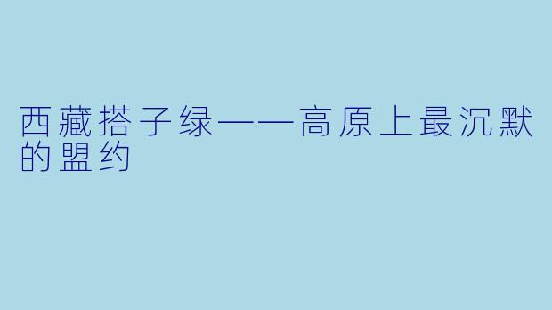 西藏搭子绿——高原上最沉默的盟约