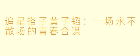 追星搭子黄子韬:一场永不散场的青春合谋