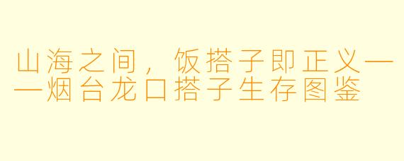 山海之间,饭搭子即正义——烟台龙口搭子生存图鉴