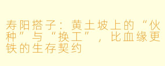 寿阳搭子：黄土坡上的“伙种”与“换工”，比血缘更铁的生存契约