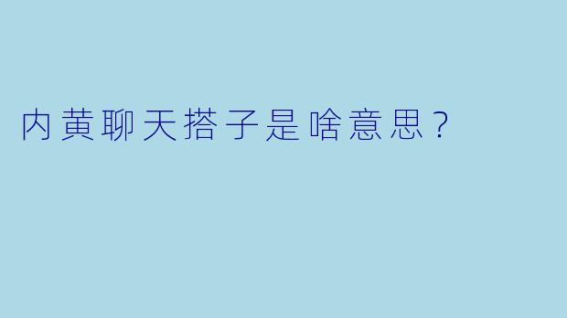 内黄聊天搭子是啥意思？