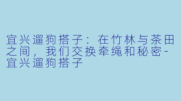 宜兴遛狗搭子:在竹林与茶田之间,我们交换牵绳和秘密-宜兴遛狗搭子