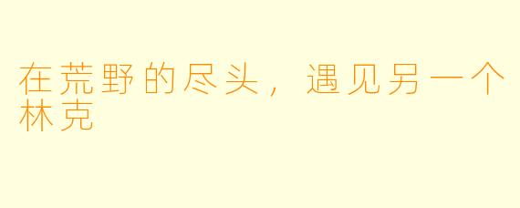 在荒野的尽头,遇见另一个林克