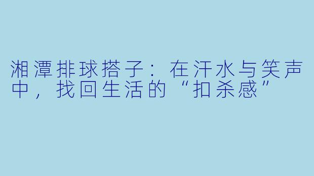 湘潭排球搭子:在汗水与笑声中,找回生活的“扣杀感”