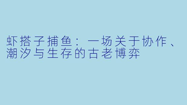 虾搭子捕鱼:一场关于协作、潮汐与生存的古老博弈