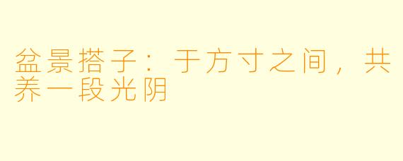 盆景搭子:于方寸之间,共养一段光阴