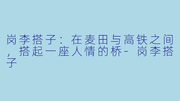 岗李搭子:在麦田与高铁之间,搭起一座人情的桥-岗李搭子