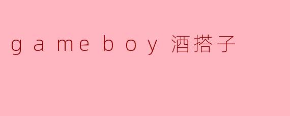 gameboy酒搭子