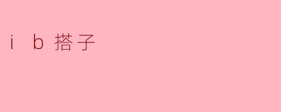 ib搭子