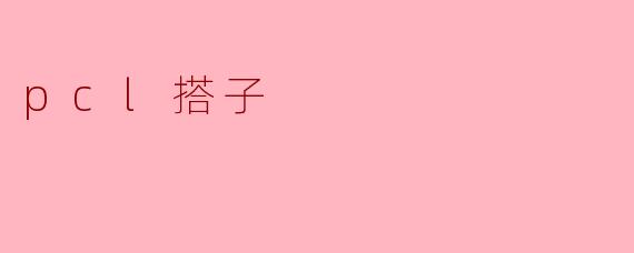 pcl搭子
