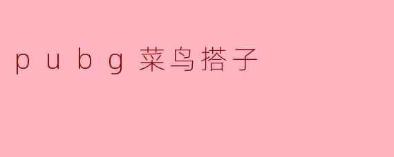 pubg菜鸟搭子