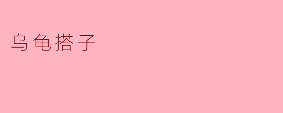 乌龟搭子