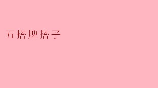 五搭牌搭子