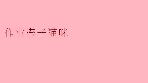 作业搭子猫咪