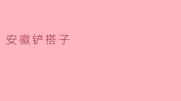 安徽铲搭子